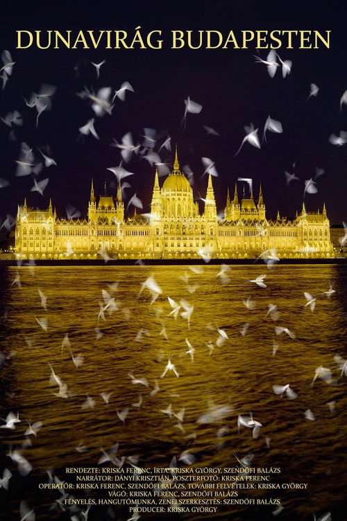 Dunavirág Budapesten poster