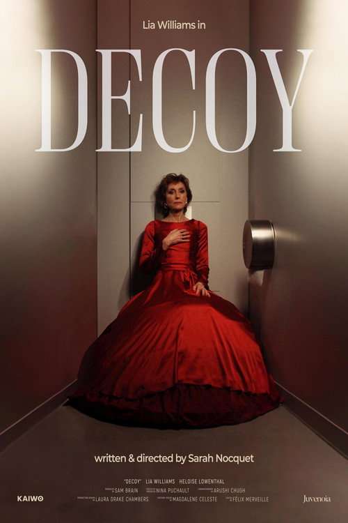 Decoy poster