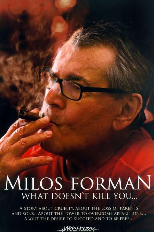 Miloš Forman: What Doesn't Kill You… poster