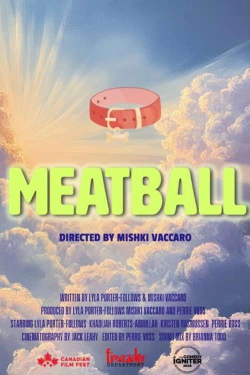 Meatball poster