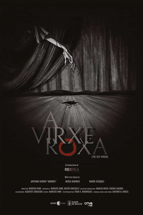 A virxe roxa poster