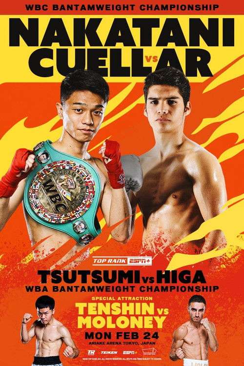 PRIME VIDEO BOXING 11 poster