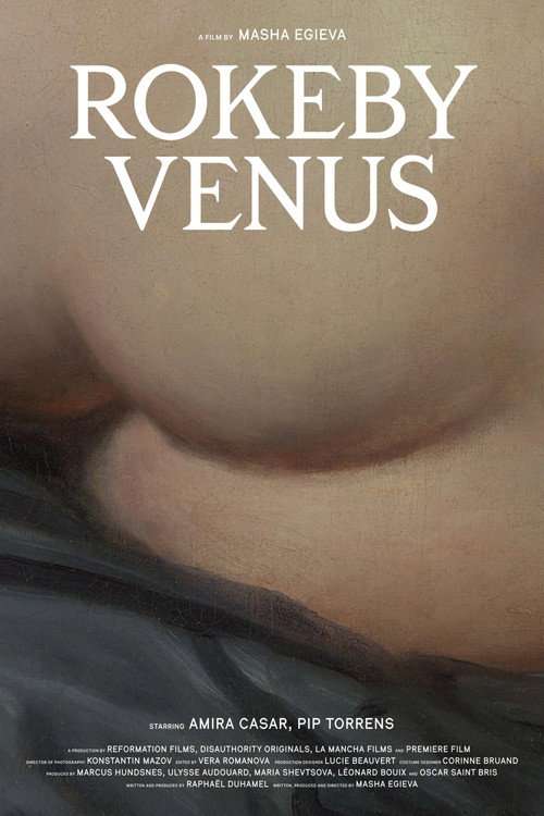 Rokeby Venus poster