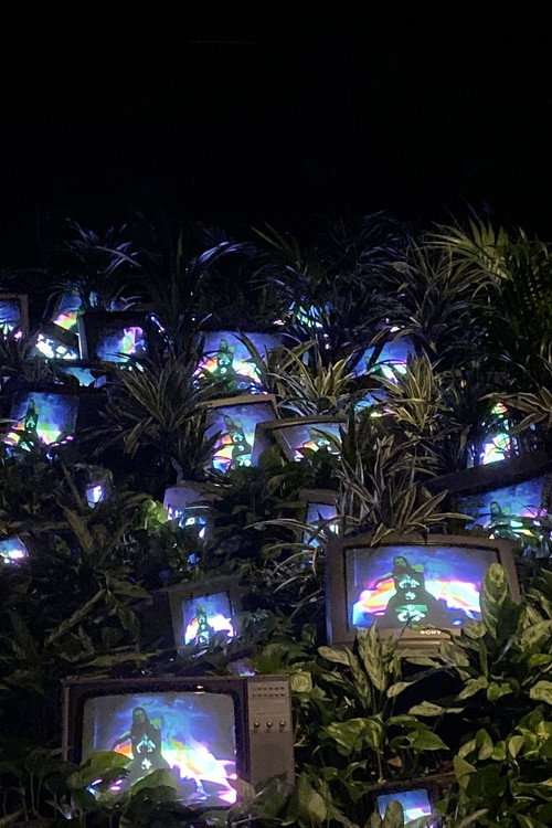 TV Garden poster