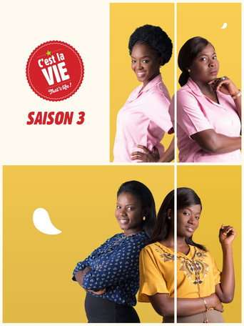 C'est la vie ! poster