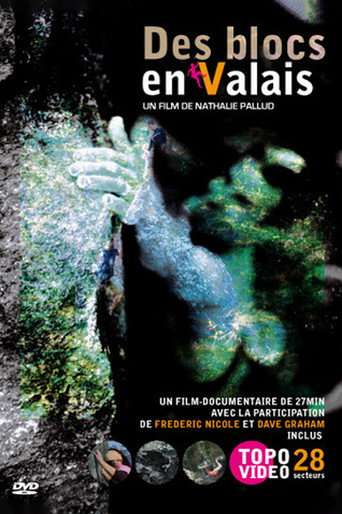 Des Blocs En Valais poster