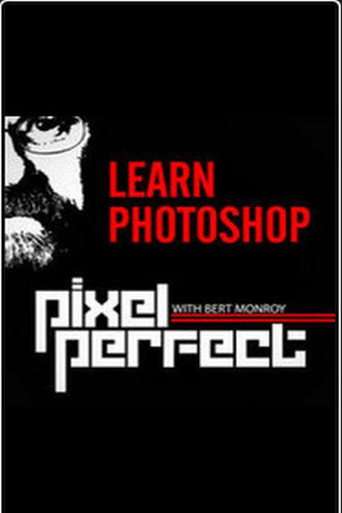 Pixel Perfect poster