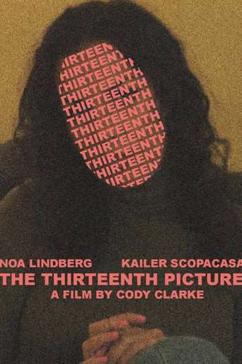 The 13th Picture poster