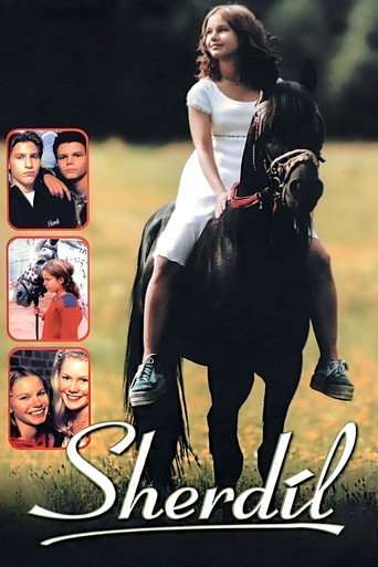 Sherdil poster