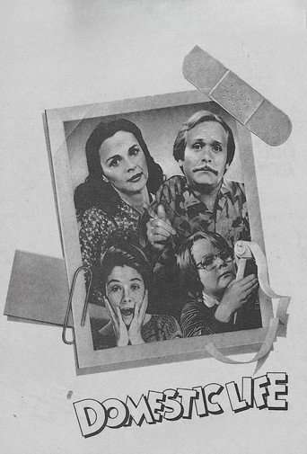 Domestic Life poster