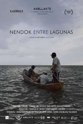 Nendok entre lagunas poster