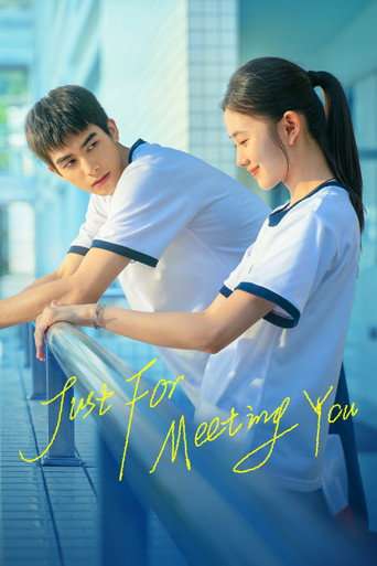 Just For Meeting You poster