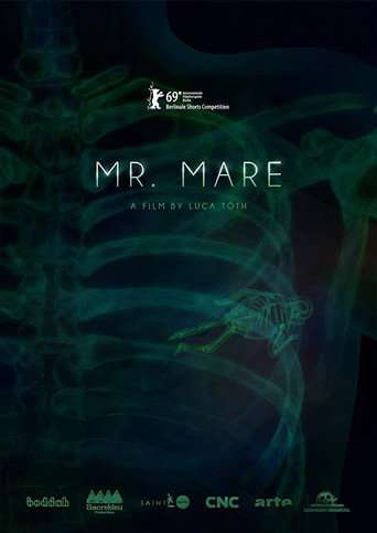 Mr. Mare poster