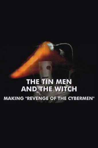 The Tin Men and the Witch poster