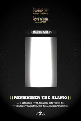 Remember the Alamo poster