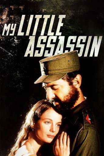 My Little Assassin poster