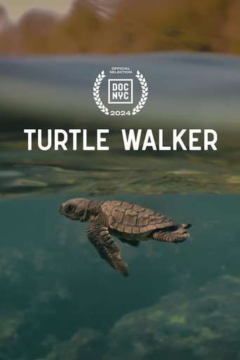 Turtle Walker poster