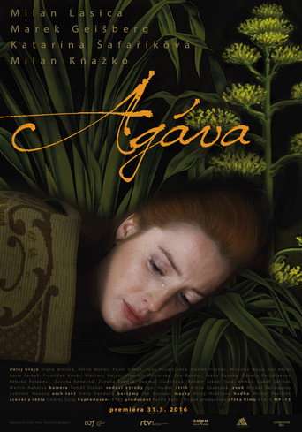 Agáva poster