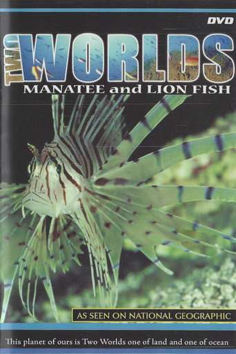 Two Worlds poster