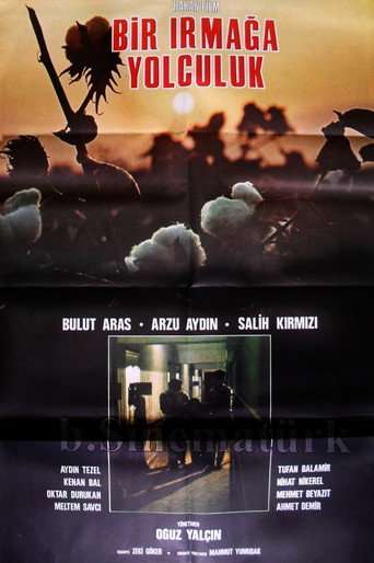Bir Irmağa Yolculuk poster