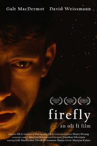 Firefly poster