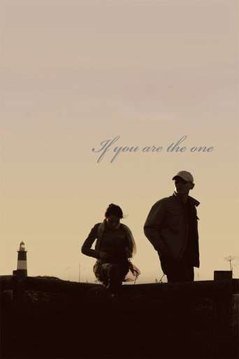 If You Are the One poster