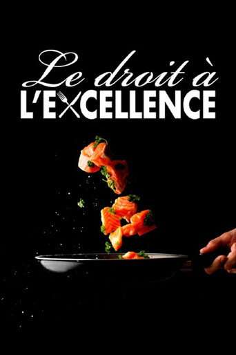 Le droit à l'excellence poster