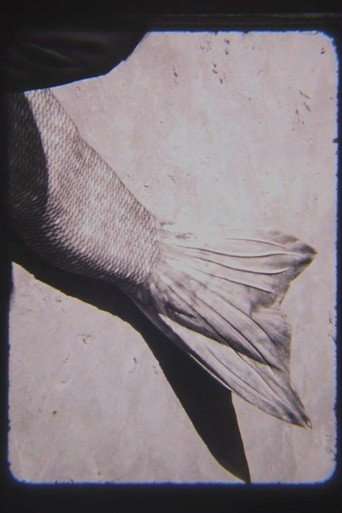 MER poster