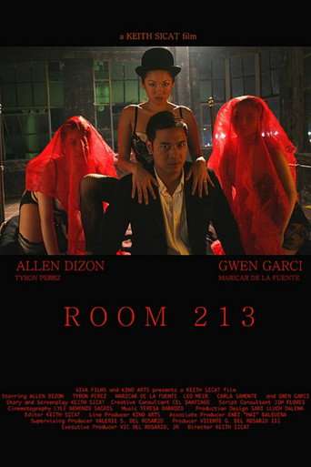 Room 213 poster