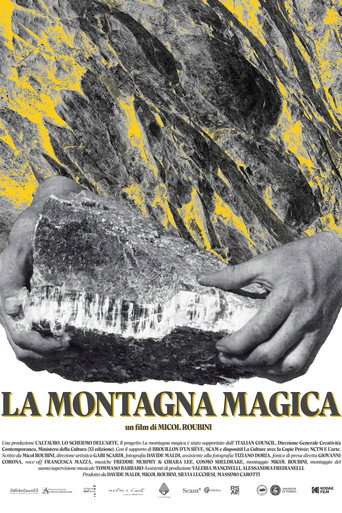 La montagna magica poster