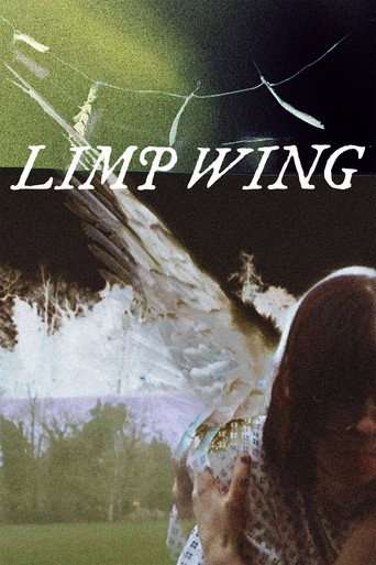 Limp Wing poster