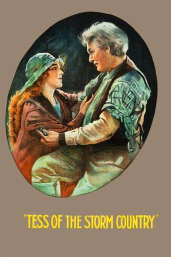 Tess of the Storm Country poster