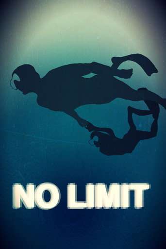 No Limit poster