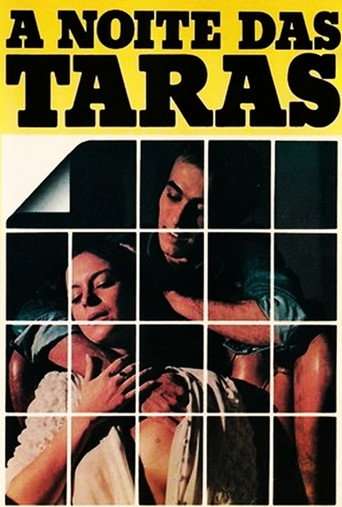 The Night at the Terrace poster