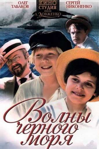 Waves of the Black Sea poster
