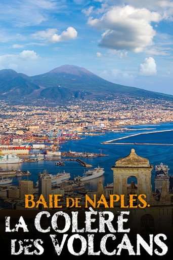 Baie de Naples, la colère des volcans poster