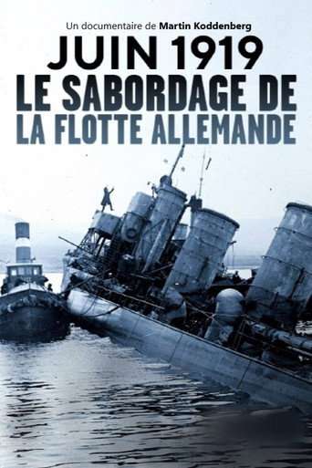 Dreadnought Destruction: Sinking the German High Seas Fleet poster