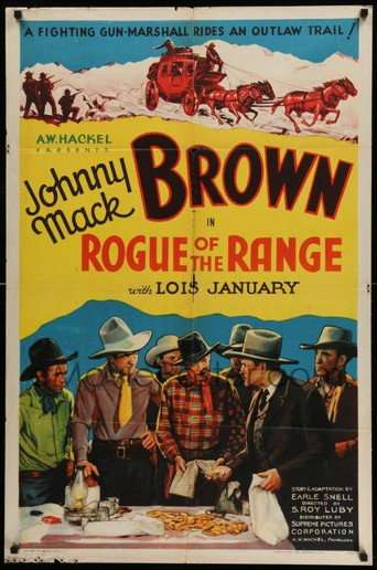 Rogue of the Range poster