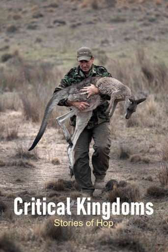 Critical Kingdoms - Stories of Hope poster