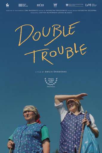 Double Trouble poster