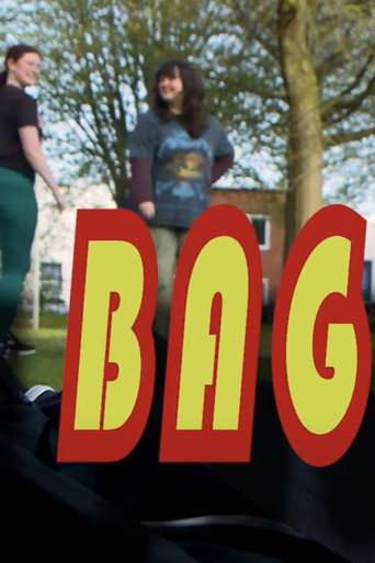 The bag, man poster