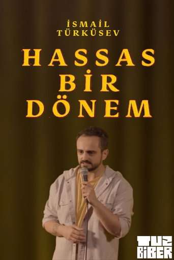 Hassas Bir Dönem - İsmail Türküsev poster