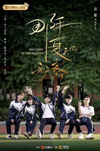 Dim Light in the Shadow poster
