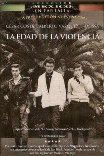 The Age of Violence poster