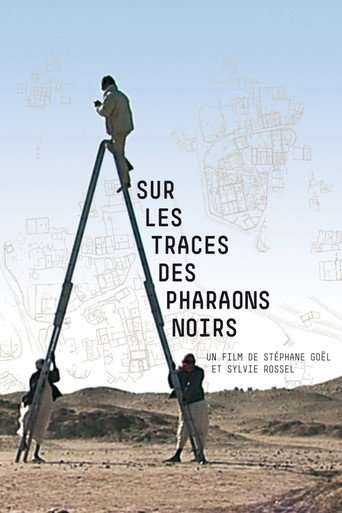 Sur les traces des pharaons noirs poster