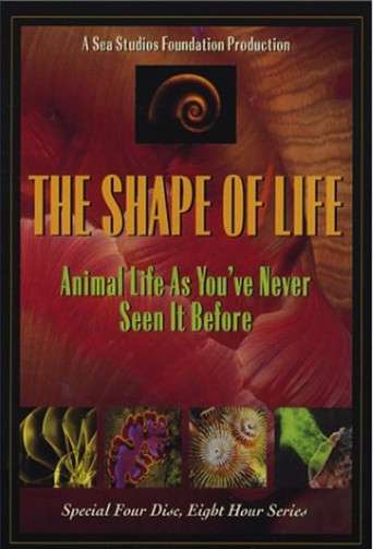 The Shape of Life poster