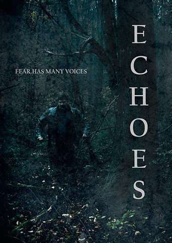 Echoes poster