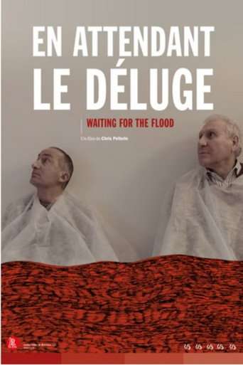 Waiting for the Flood poster