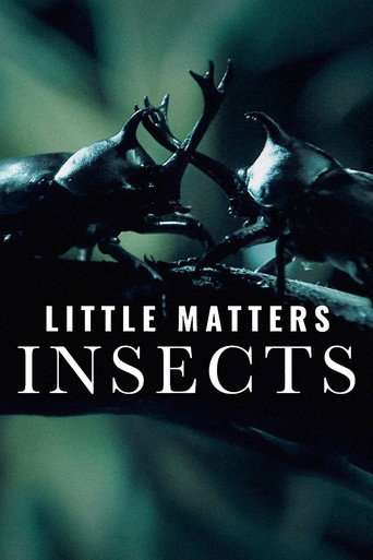 Little Matters: Insects poster