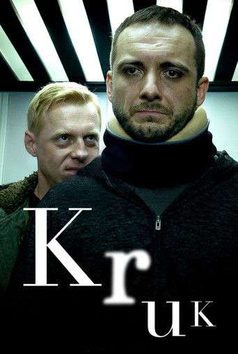Raven poster
